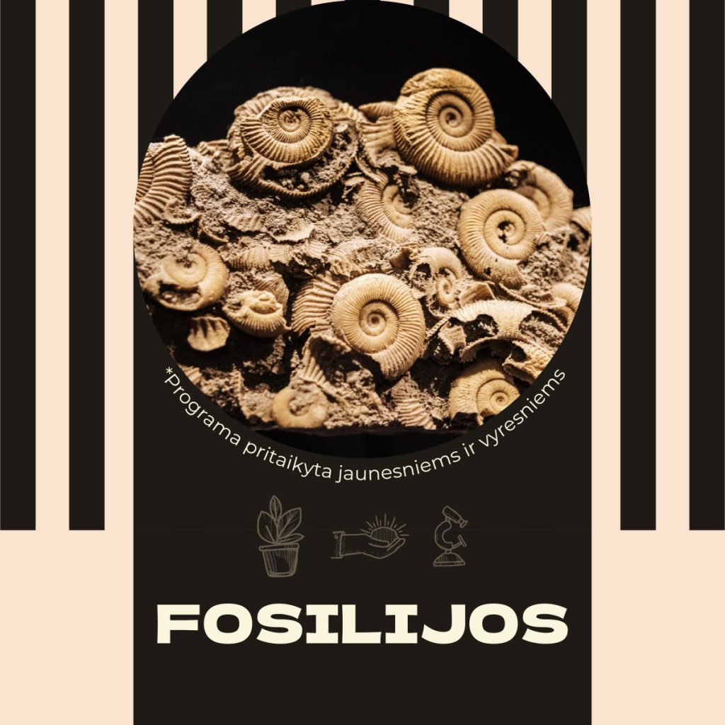 Edukacija „Fosilijos“