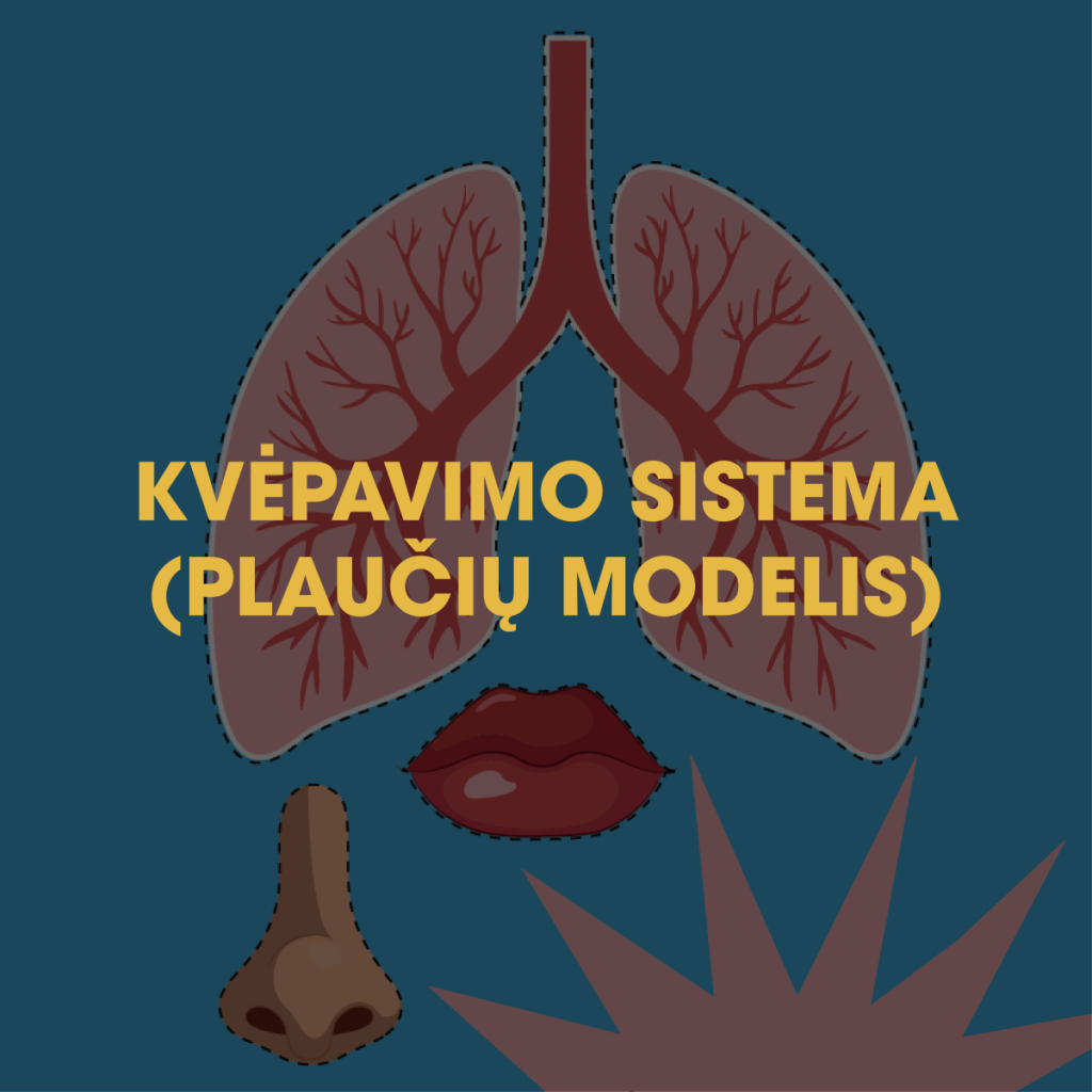 Kvėpavimo sistema (plaučių modelis)
